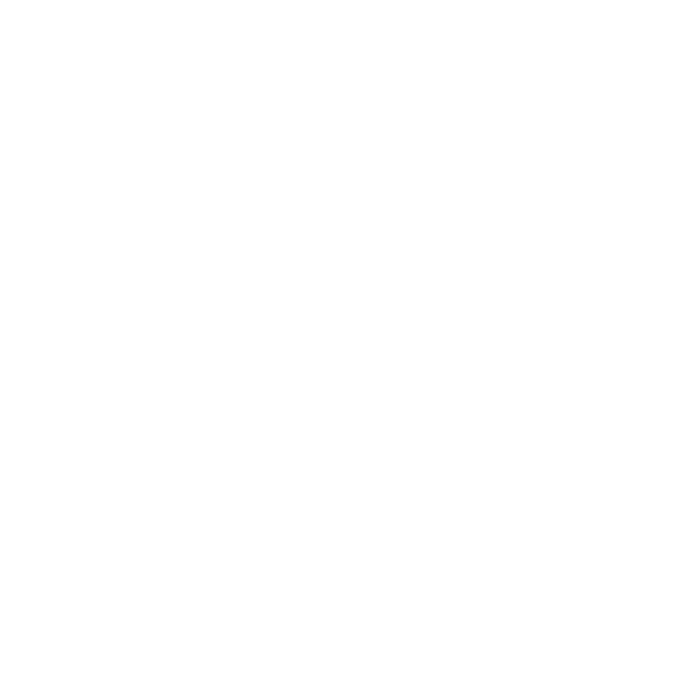 CONSORZIO DEL CHIANTI RUFINA Logo